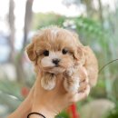 송이로14길 이미지