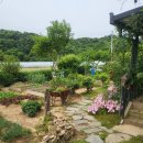 현암리 돌담집 | 부여 감성숙소 현암리돌담집 방문 후기(사진많음주의)