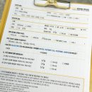 중앙동물메디컬센터 | 안양 동물병원 추천 24시 비타민동물메디컬센터에서 강아지 위절개수술 후기