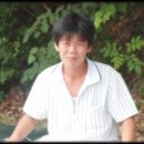 용태행 이미지