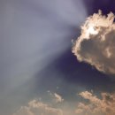 노안농장 이미지