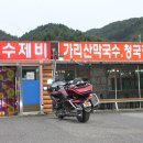 송이투어 Daum카페