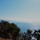 도산일주로 이미지