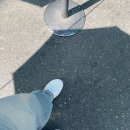 인영약국 | 사랑은 하트 모양이 아니야