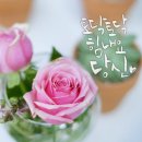 토닥토닥 이미지