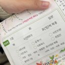 자궁경부 출혈 헐음, 자궁경부레이저 소작술 후기(진단서/보험금/비용)
