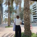 이글하이소프트 이미지