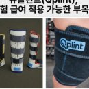 큐플린트 이미지