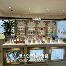 디엠코리아 이미지