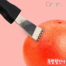 제스트칼 이미지