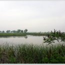 남양낚시터 이미지