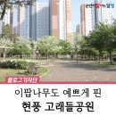 고래들공원 이미지