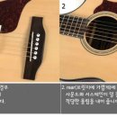 뮤트 - 창원시 의창구 도계로4번길 36 | 뮤트