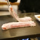 두툼 - 강서구 | 두툼