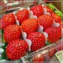 동부농협하나로마트 이미지