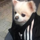 역전할머니맥주내포