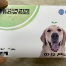 남서울동물병원 이미지