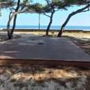 동해 캠핑장 울진 해빛뜰마을 캠핑&amp; 펜션 — 바다 전망·펜션·오토캠핑 3가지 매력