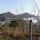 귀인아파트 Daum카페