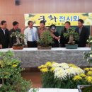 고흥도덕중학교 이미지