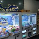 스타게임월드 이미지