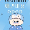 하이랑 애견유치원 이미지