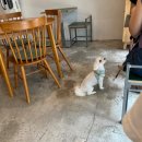 면목과일 이미지