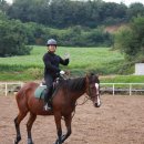 티엠케이 이미지