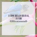 건재활의학과의원 이미지