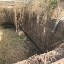 조율농장 이미지