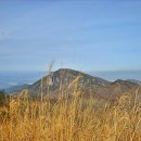 비슬산군립공원 티스토리