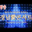 ⚘한봄님의 하동예술제(경남애콘서트) 유튜브 실방(생방송) 보십시요^^⚘ 이미지