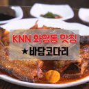바담코다리 - 해운대구 신반송로 170 | 바담코다리