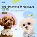 징검다리 | [징검다리 프로젝트] 7월 후기_이찌, 꽁드