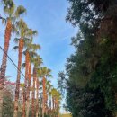 UR(서귀포시)-[토평로]-상-6 | 제주도 수영장펜션 서귀포 브로딕제주 풀빌라 찐추천♡