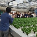 신재생에너지 스마트팜 | 기후위기 시대, 신재생에너지와 스마트팜이 만드는 미래 주거환경