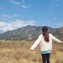 화현생태공원 이미지