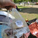 뚝섬한강공원-101 이미지