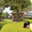 서일 농장 이미지