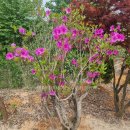 서창캠핑장 이미지