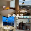 유미어스 제주 이미지