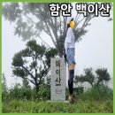 도천재 단서죽백 | 경남 함안 공룡 발자국 화석 백이산 둘레길 등산 코스