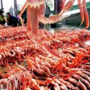 과메기 수산 Daum카페