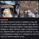 가치타개(타개) 이미지