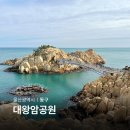 현풍시외버스터미널 북편 | 울산 대왕암공원 출렁다리 시간 해녀촌 울산 애견동반 관광지