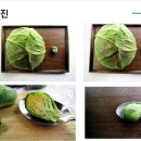 페마연 이미지