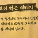 백돼지농장 이미지