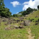 황금염소농장 이미지