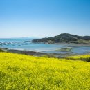 센트럴팜 이미지