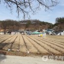 각계1리 경로당 | 우리마을탐방[239] 문수면 조제1리 분계